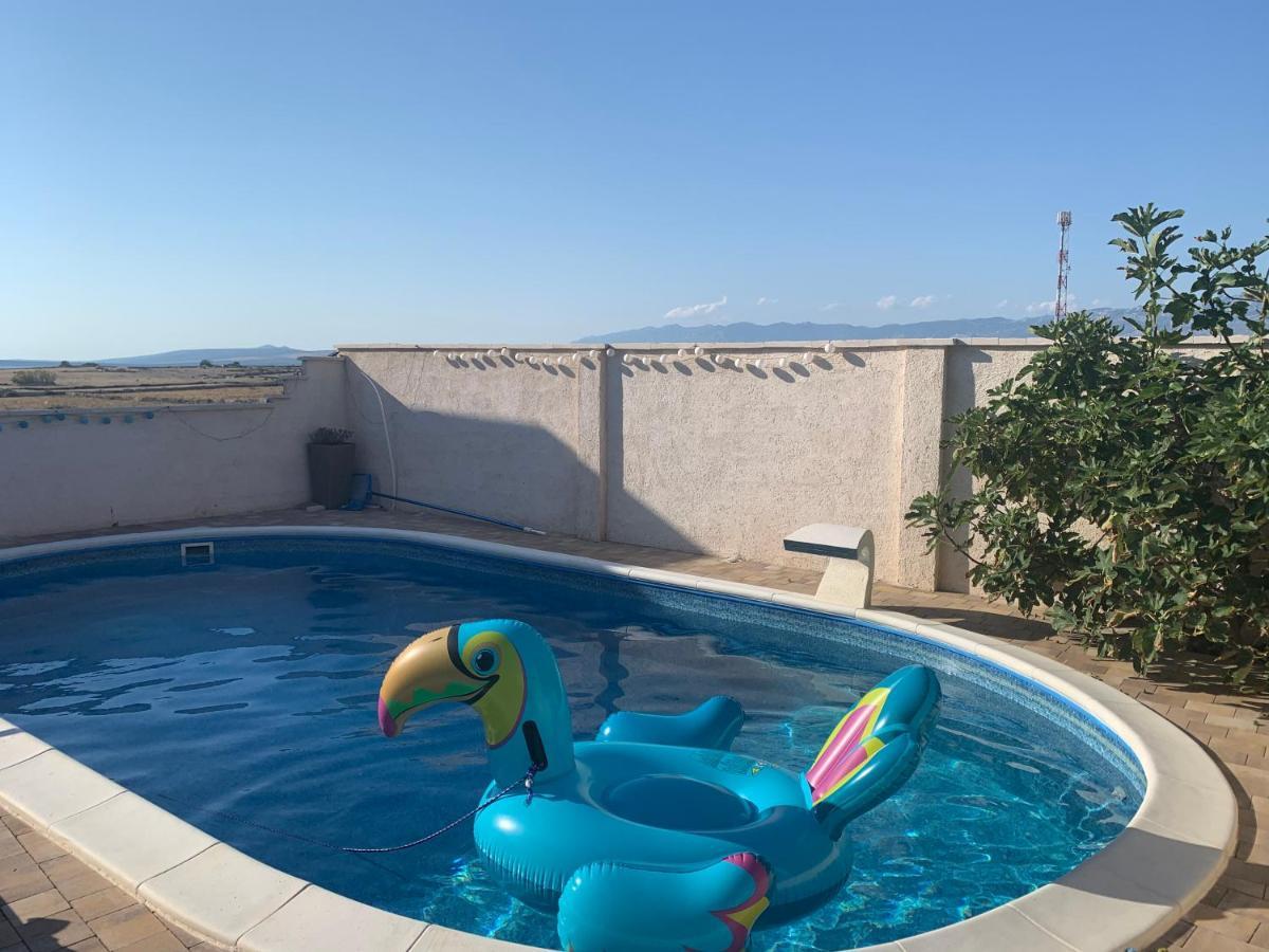 Apartment Tara With Pool Povljana Zewnętrze zdjęcie